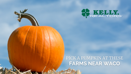 Pumpkin Patches Waco